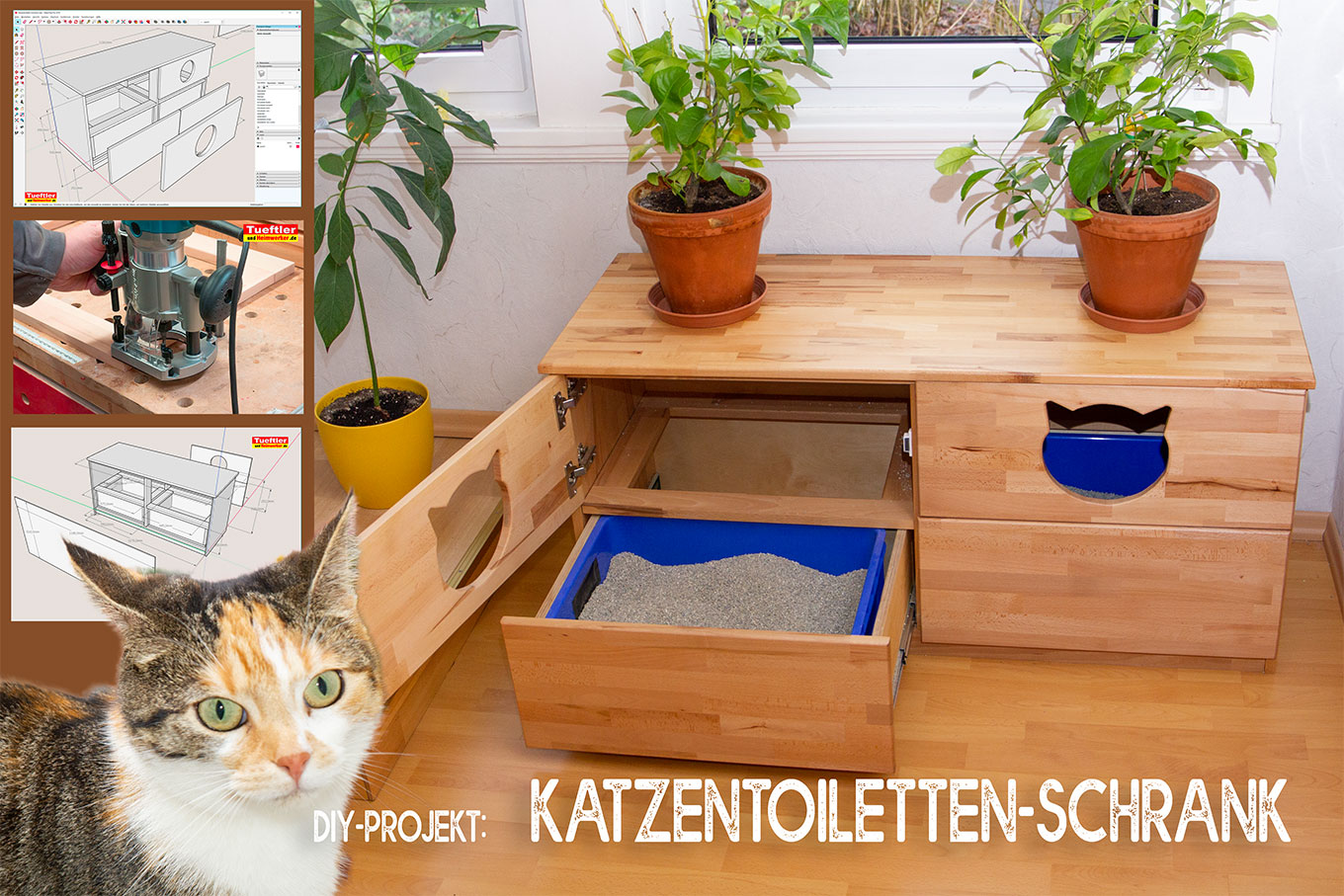Katzentoiletten-Schrank aus Buche Leimholz bauen – DIY Tüftler Projekt