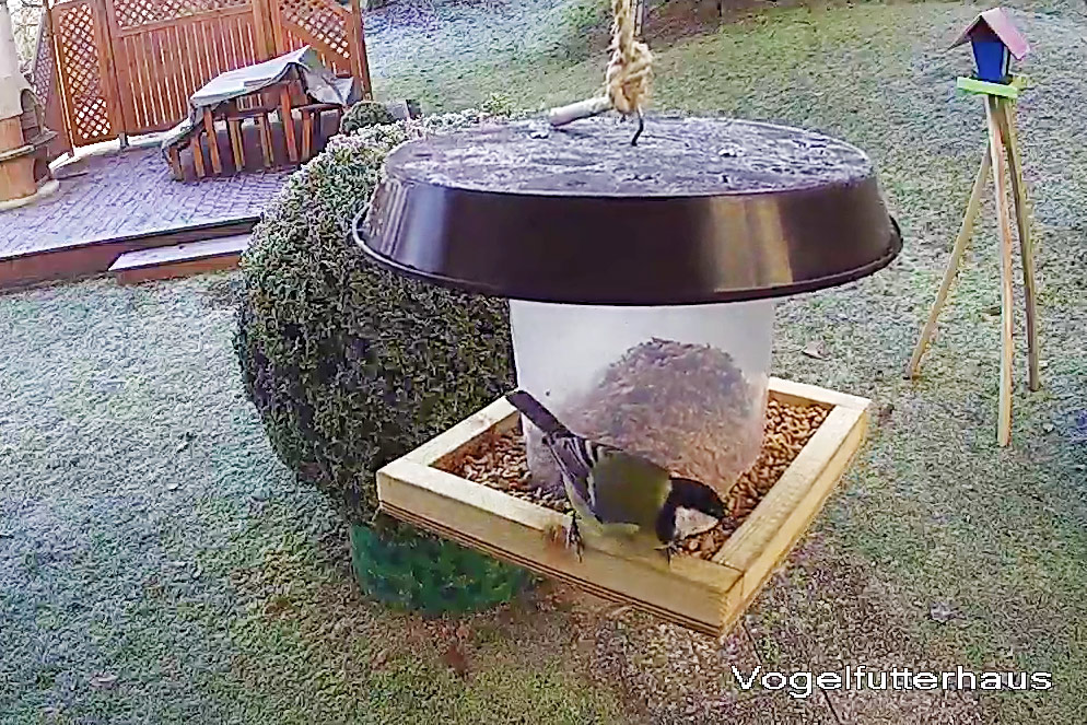 Vogelfutterhäuschen mit Futterspender schnell selbst gebaut