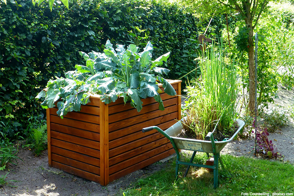 Hochbeet selber bauen oder lieber kaufen?
